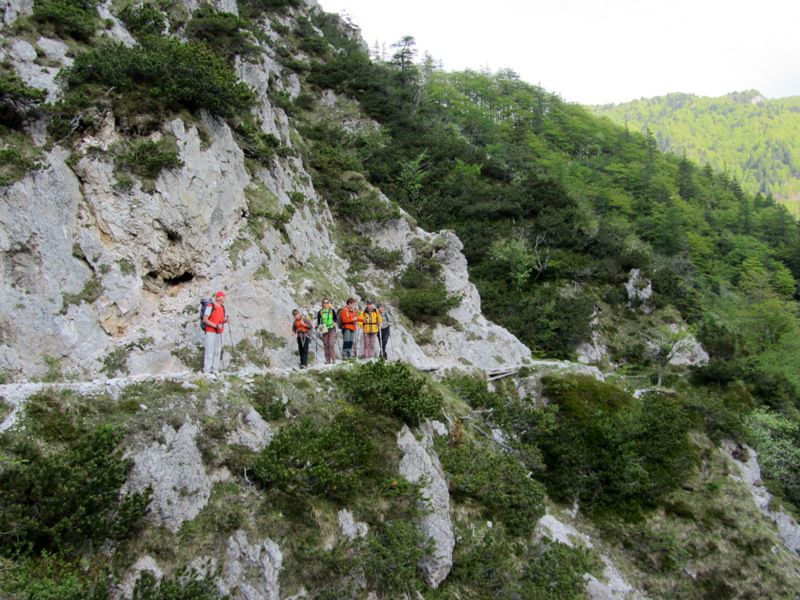 Begunjščica-Palec-Zelenjak (maj.2012) - foto povečava