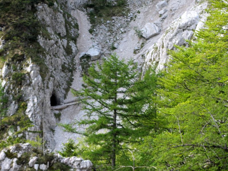 Begunjščica-Palec-Zelenjak (maj.2012) - foto povečava