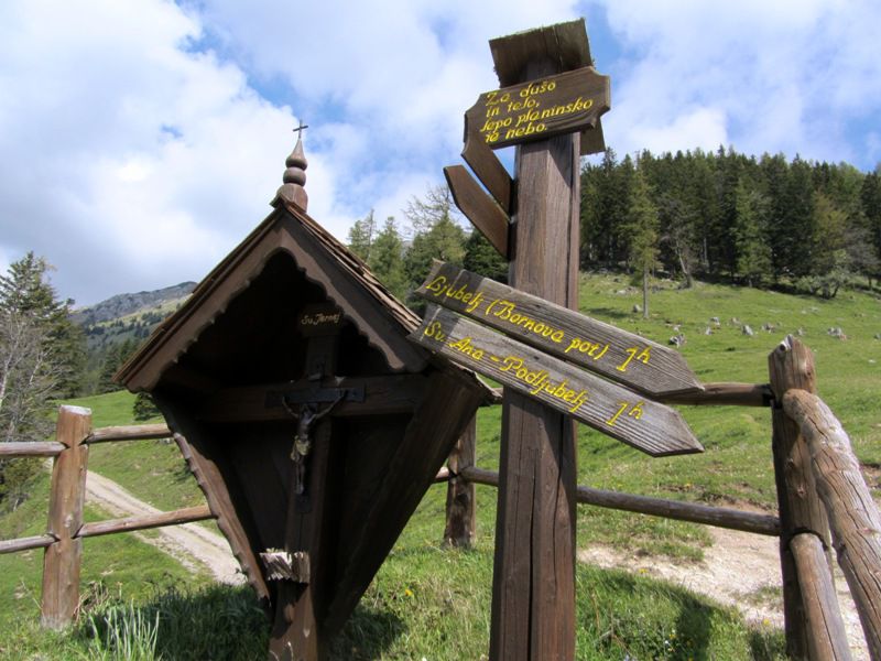 Begunjščica-Palec-Zelenjak (maj.2012) - foto povečava