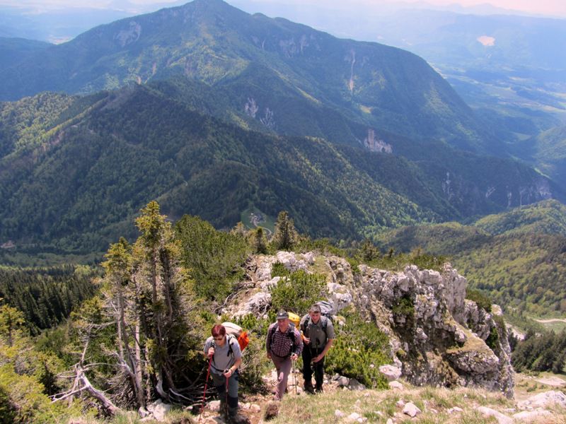 Begunjščica-Palec-Zelenjak (maj.2012) - foto povečava