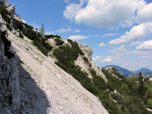 Begunjščica-Palec-Zelenjak (maj.2012) - foto