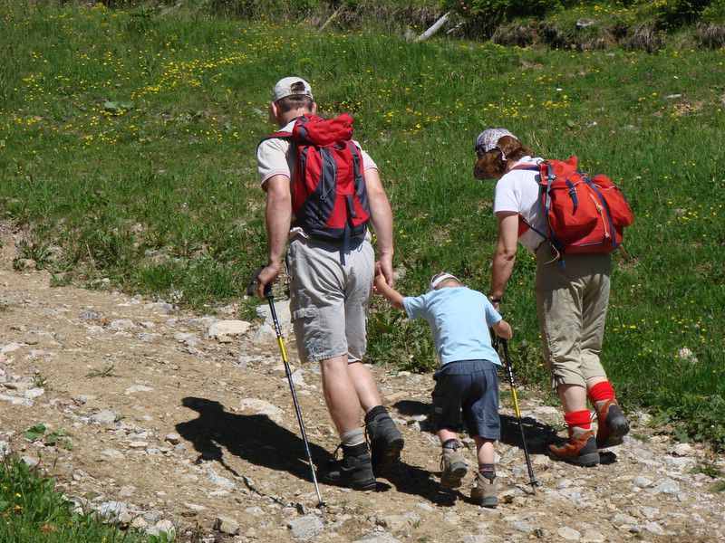 Golte (junij. 2012) - foto povečava