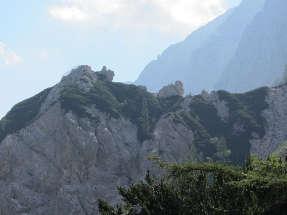 Brana-Turska gora (julij.2012) - foto povečava