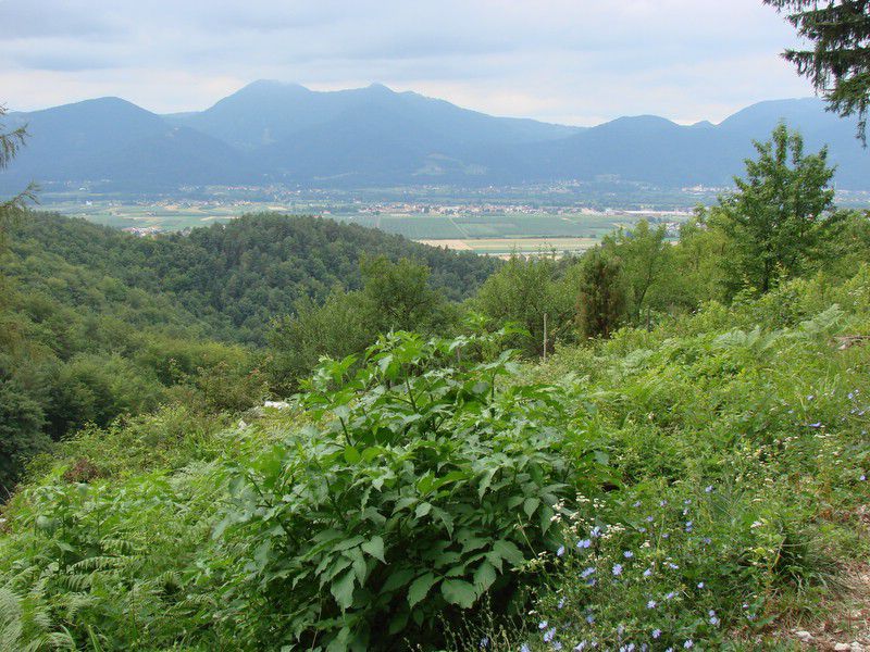 Jama pekel z učno potjo (julij.2012) - foto povečava