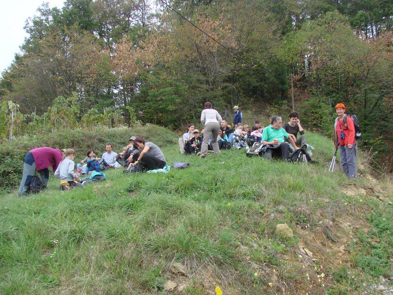 Haloze + ogledna t. (avg. 2012) - foto povečava