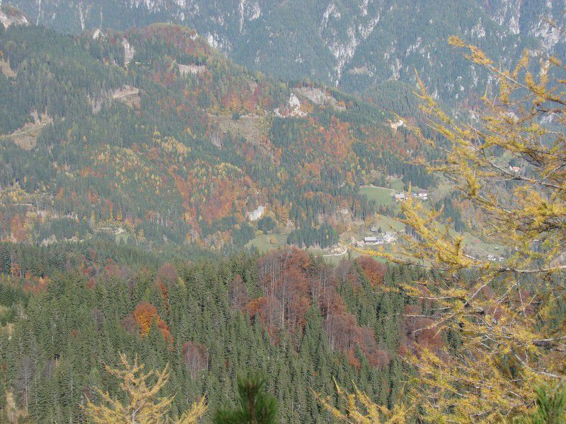 Virnikov Grintovec (okt.2012) - foto povečava