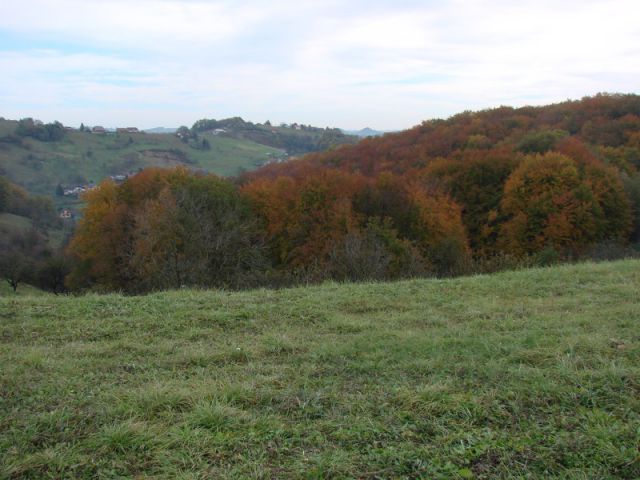 Svečinska pot-ogledna t.(nov.2012) - foto