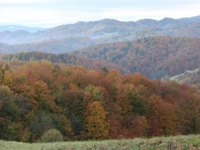 Svečinska pot-ogledna t.(nov.2012) - foto