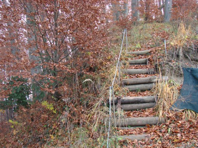 Svečinska pot-ogledna t.(nov.2012) - foto