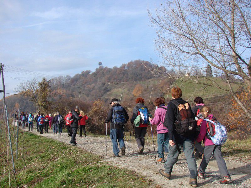 Svečinska pot-ogledna t.(nov.2012) - foto povečava