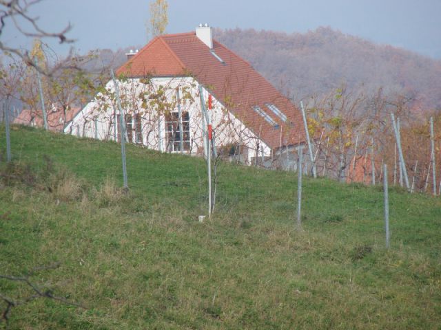 Svečinska pot-ogledna t.(nov.2012) - foto