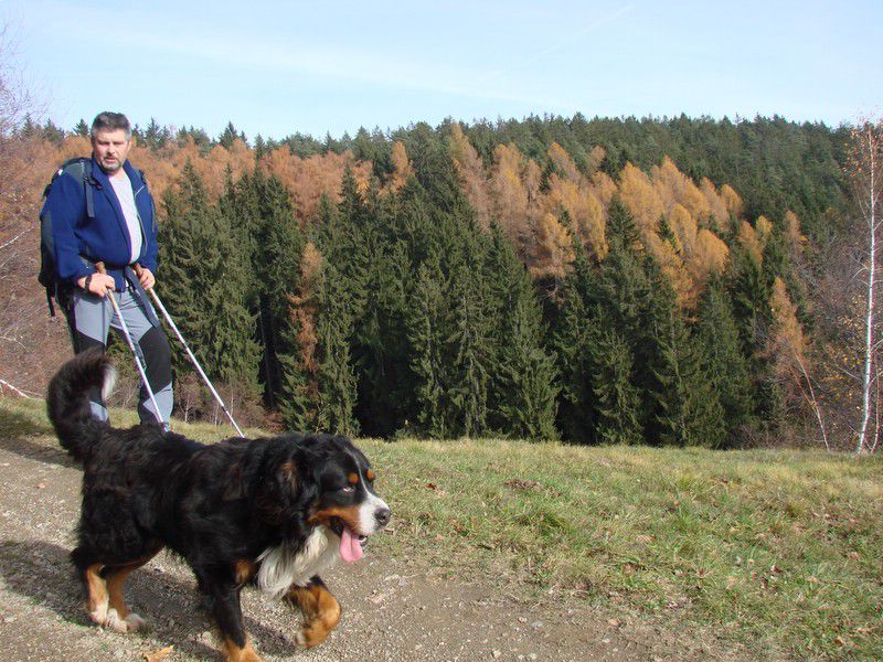 Duh na ostrem vrhu + ogledna t. (dec.2012) - foto povečava