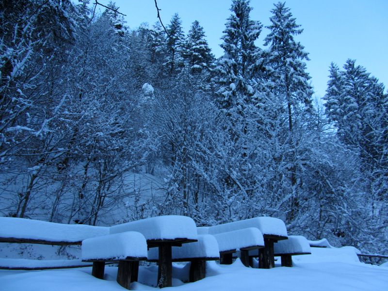 Duh na ostrem vrhu + ogledna t. (dec.2012) - foto povečava