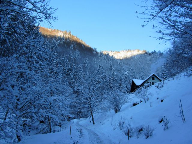 Duh na ostrem vrhu + ogledna t. (dec.2012) - foto