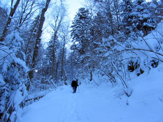 Duh na ostrem vrhu + ogledna t. (dec.2012) - foto