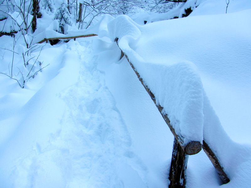 Duh na ostrem vrhu + ogledna t. (dec.2012) - foto povečava