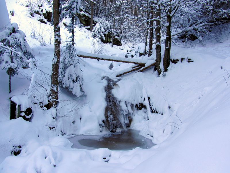 Duh na ostrem vrhu + ogledna t. (dec.2012) - foto povečava