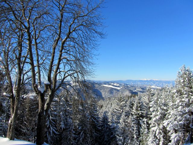 Duh na ostrem vrhu + ogledna t. (dec.2012) - foto