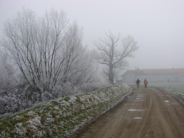 Grad-Bodonci-Tišina (jan.2013) - foto