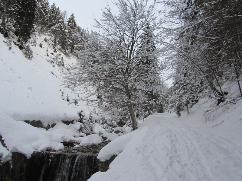 Trupejevo poldne (mar.2013) + ogledna t. - foto povečava