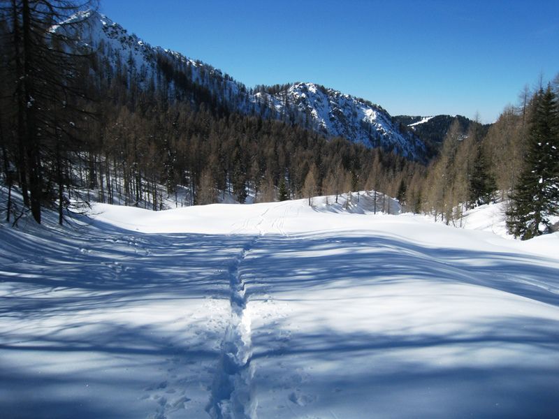 Trupejevo poldne (mar.2013) + ogledna t. - foto povečava