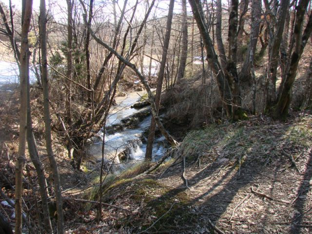 Ob dnevu žena Istra (mar.2013) + ogledna t. - foto