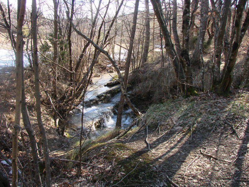 Ob dnevu žena Istra (mar.2013) + ogledna t. - foto povečava