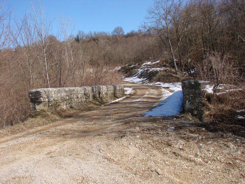 Ob dnevu žena Istra (mar.2013) + ogledna t. - foto povečava