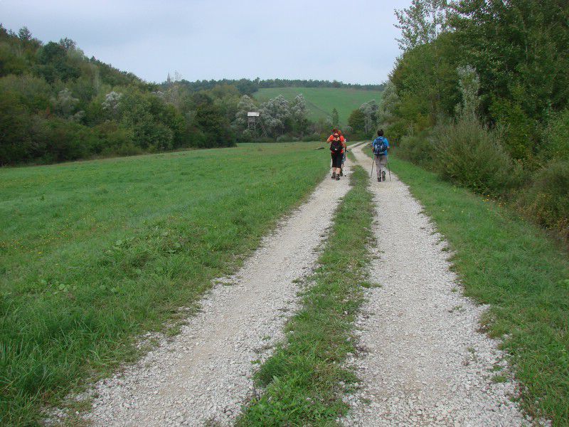 Ob dnevu žena Istra (mar.2013) + ogledna t. - foto povečava