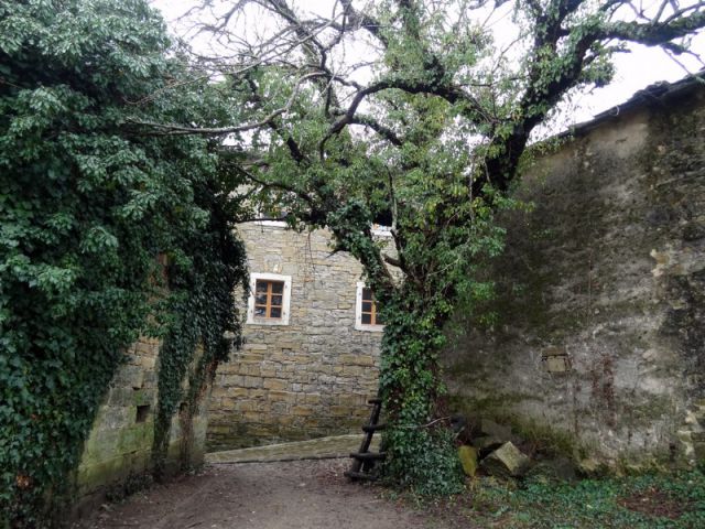 Ob dnevu žena Istra (mar.2013) + ogledna t. - foto