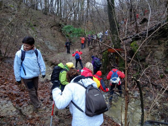 Ob dnevu žena Istra (mar.2013) + ogledna t. - foto