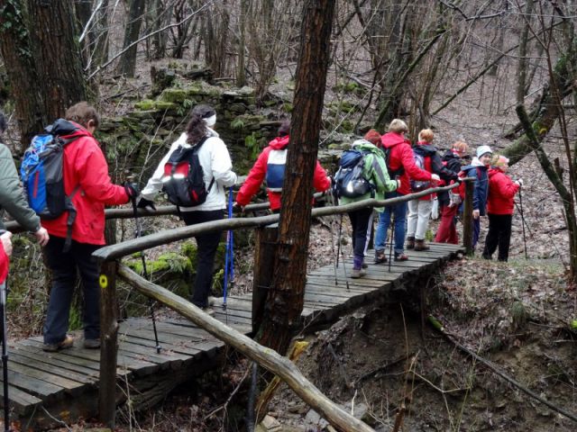 Ob dnevu žena Istra (mar.2013) + ogledna t. - foto