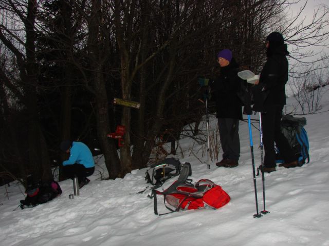 Sivka - Polhograjsko hribovje (mar.2013) - foto