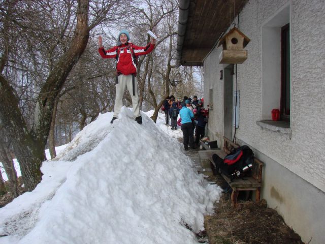 Sivka - Polhograjsko hribovje (mar.2013) - foto