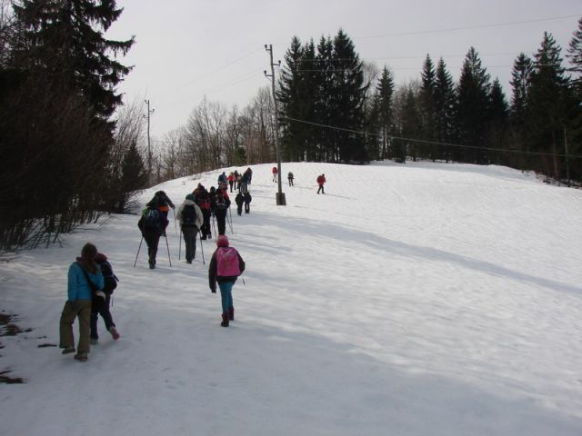 Sivka - Polhograjsko hribovje (mar.2013) - foto