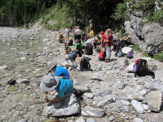 Soteska garnitzenklamm + ogledna t.(jun.2013) - foto