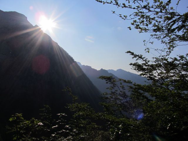 Grintovec (jul.2013) - foto