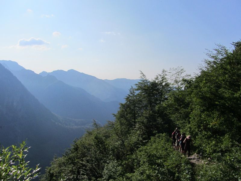 Grintovec (jul.2013) - foto povečava