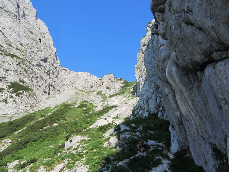 Grintovec (jul.2013) - foto povečava