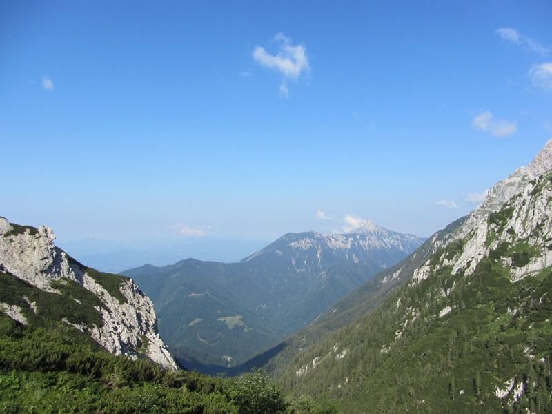 Grintovec (jul.2013) - foto povečava