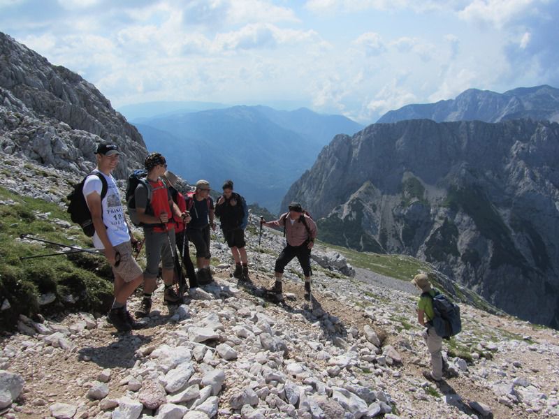 Grintovec (jul.2013) - foto povečava