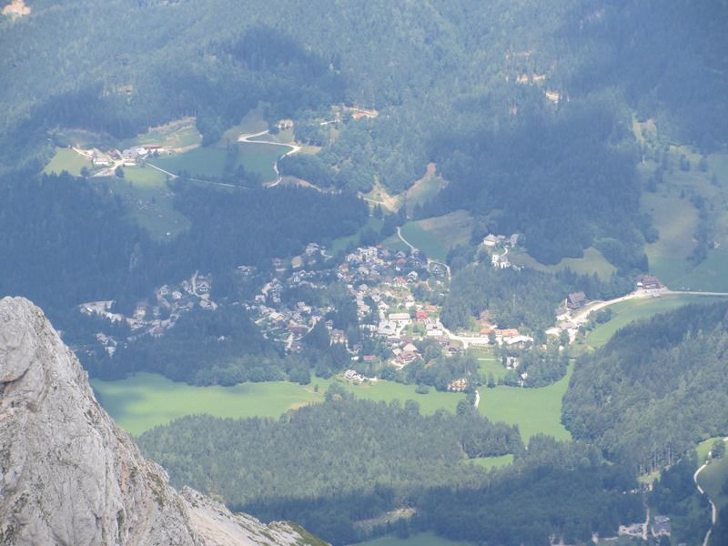 Grintovec (jul.2013) - foto povečava