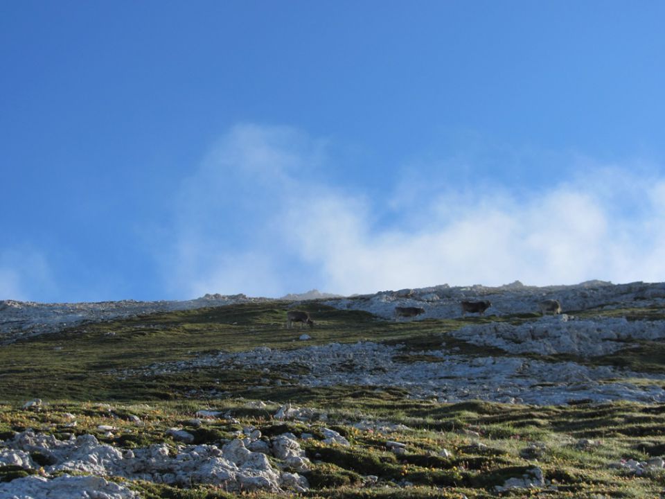 Dolomiti (avg.2013) - foto povečava