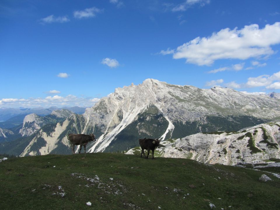 Dolomiti (avg.2013) - foto povečava