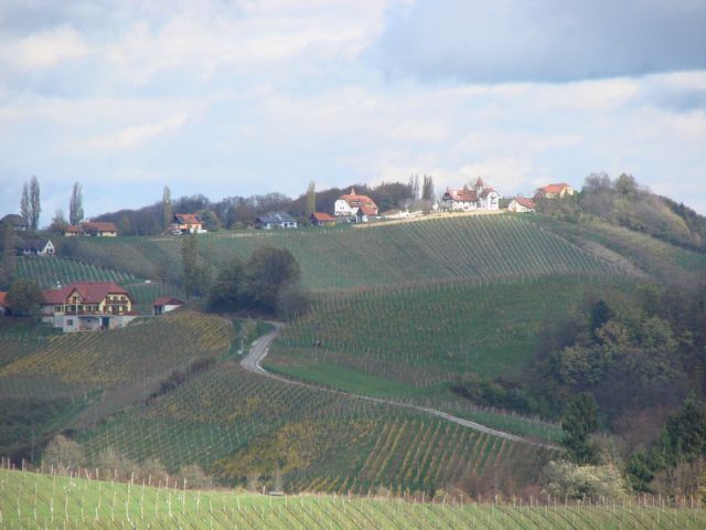 Svečinska pot in ogledna t. (nov.2013) - foto