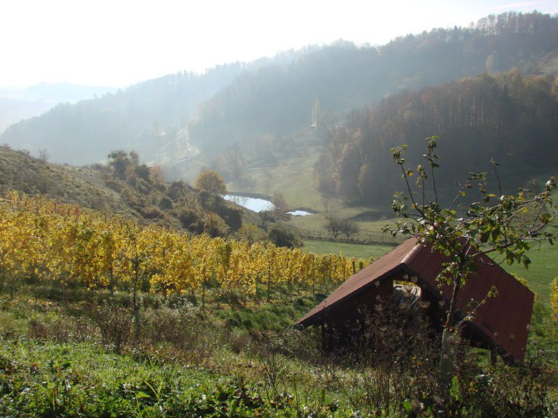 Svečinska pot in ogledna t. (nov.2013) - foto povečava