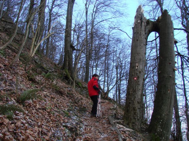 Donačka g. + ogledna t. (dec.2013) - foto