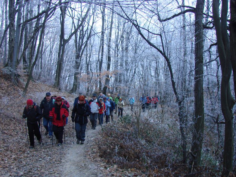 Donačka g. + ogledna t. (dec.2013) - foto povečava