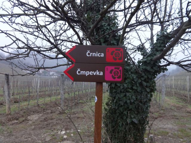 Goriška brda + ogledna t. (mar.2014) - foto