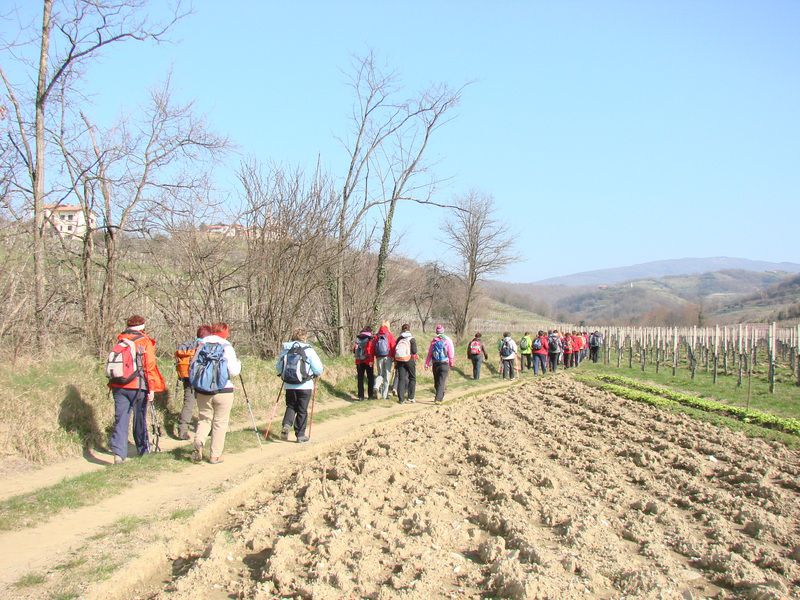 Goriška brda + ogledna t. (mar.2014) - foto povečava